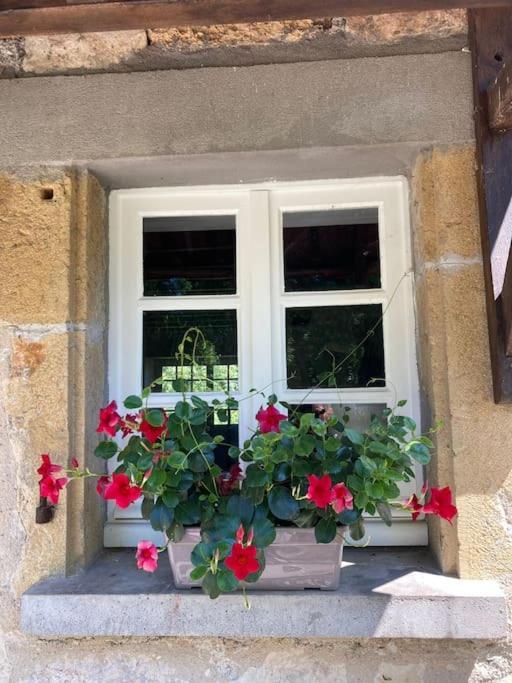 Vakantiehuis La Poire, Op Landgoed Aan De Dordogne Prudhomat Luaran gambar